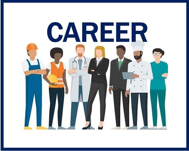 Professional career development