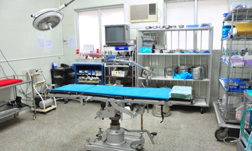 BIOMEDICAL SYSTEMS