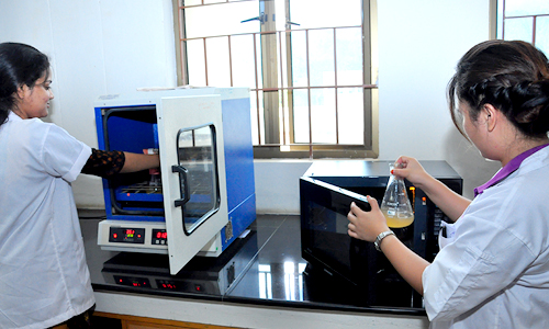 Project Lab