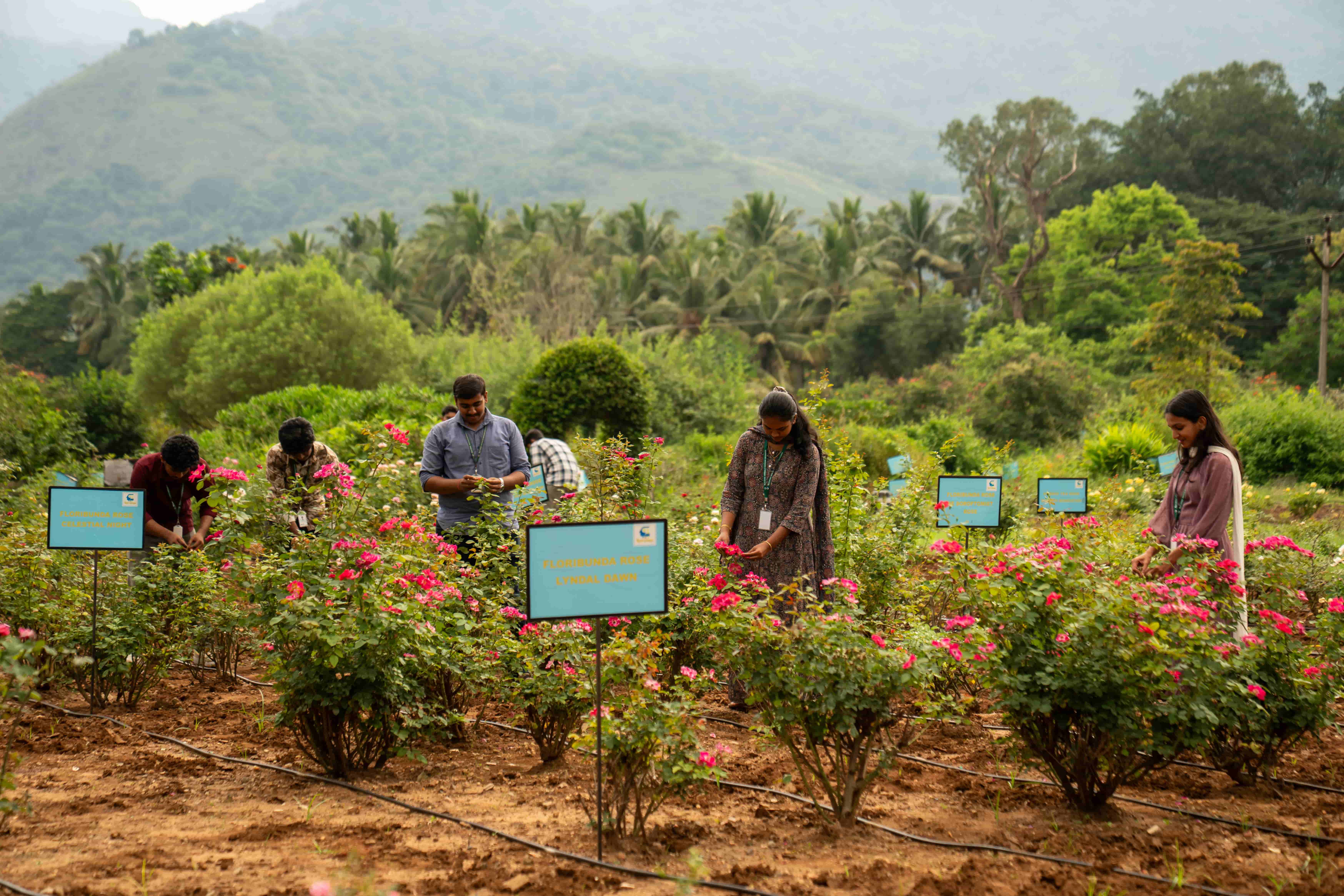 Karunya agriculture campus and research farm