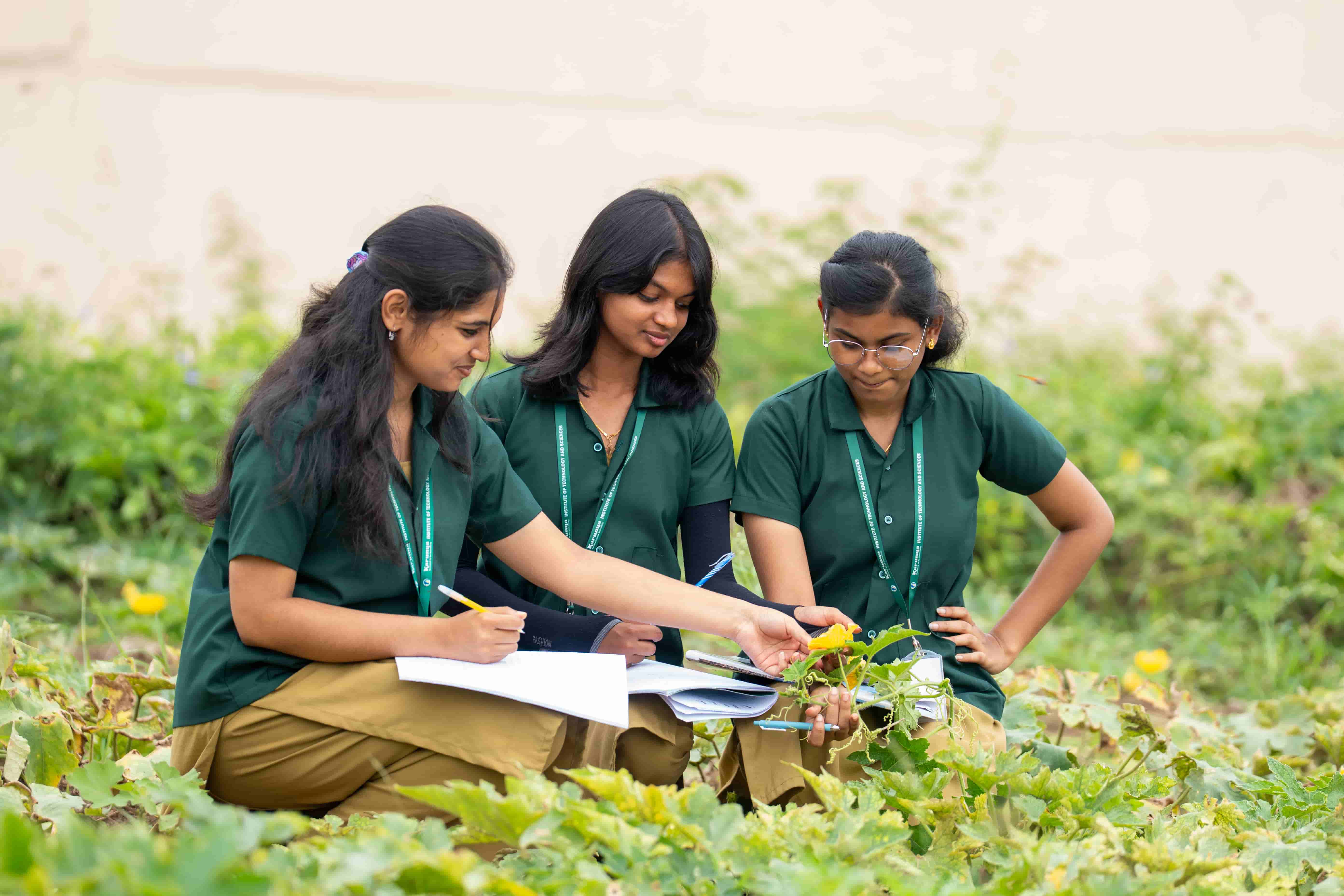 Agricultural innovation and fieldwork