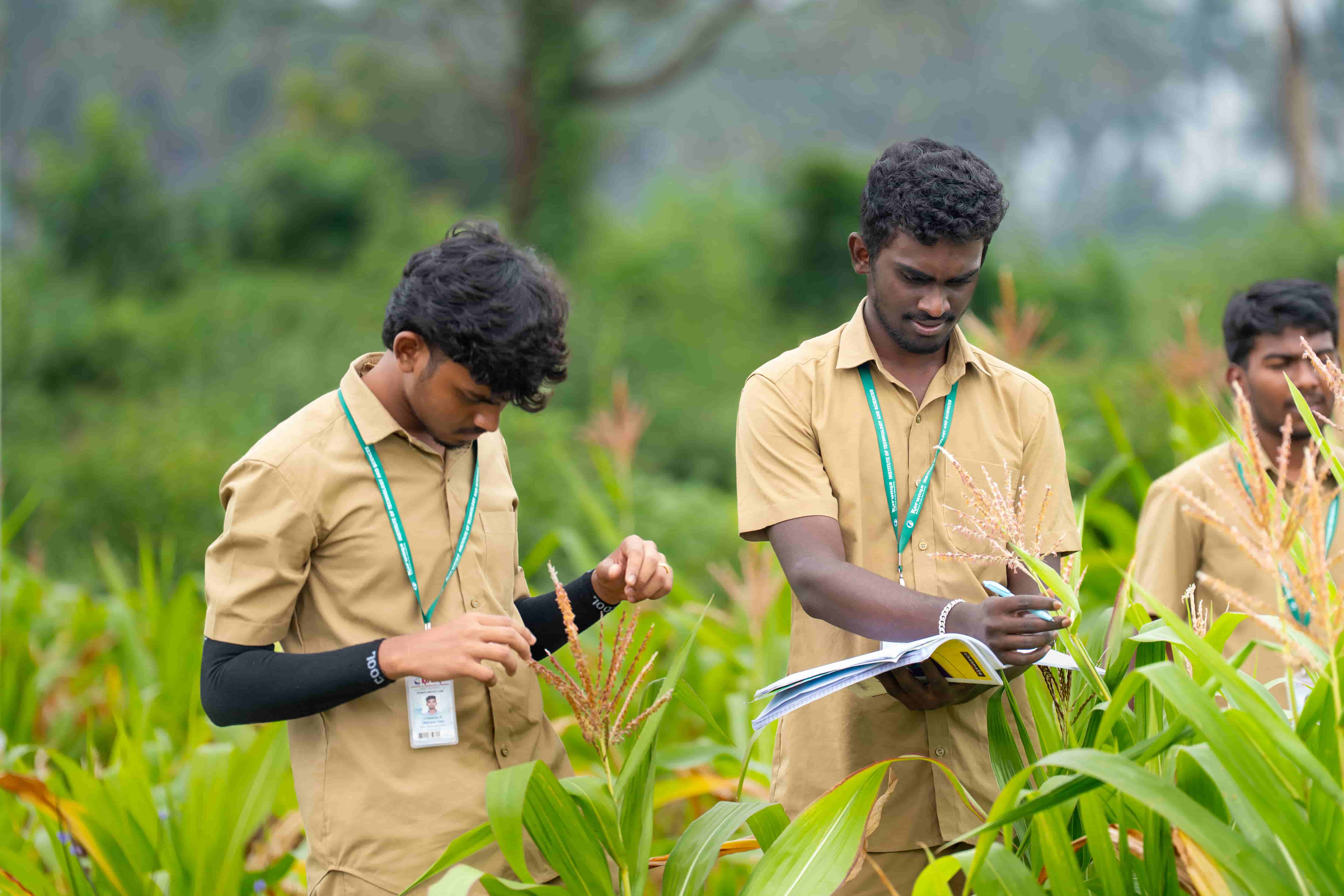 Research activity at the Agriculture department