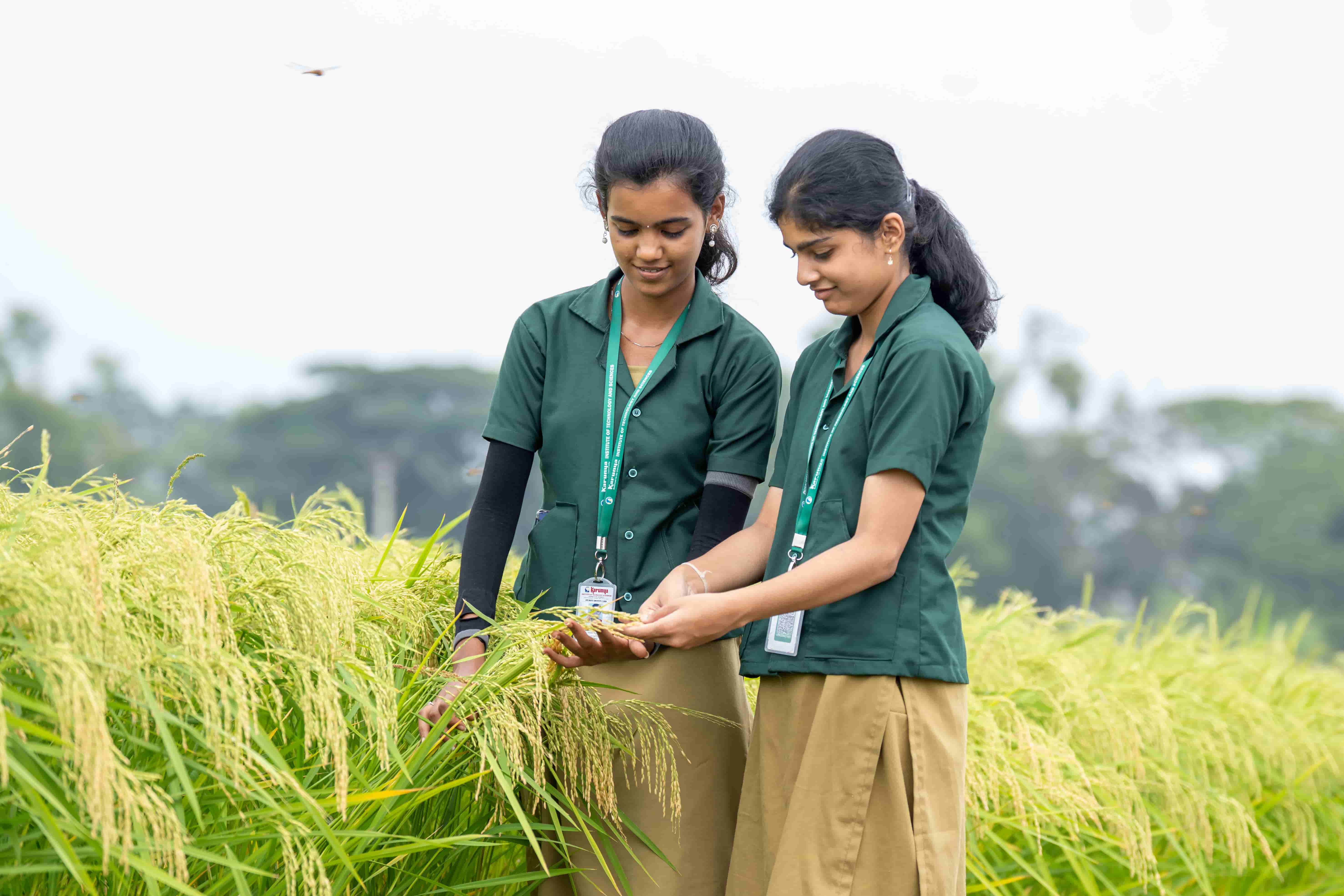 Agriculture students on campus farm